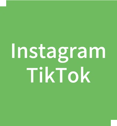 Instagram  TikTok